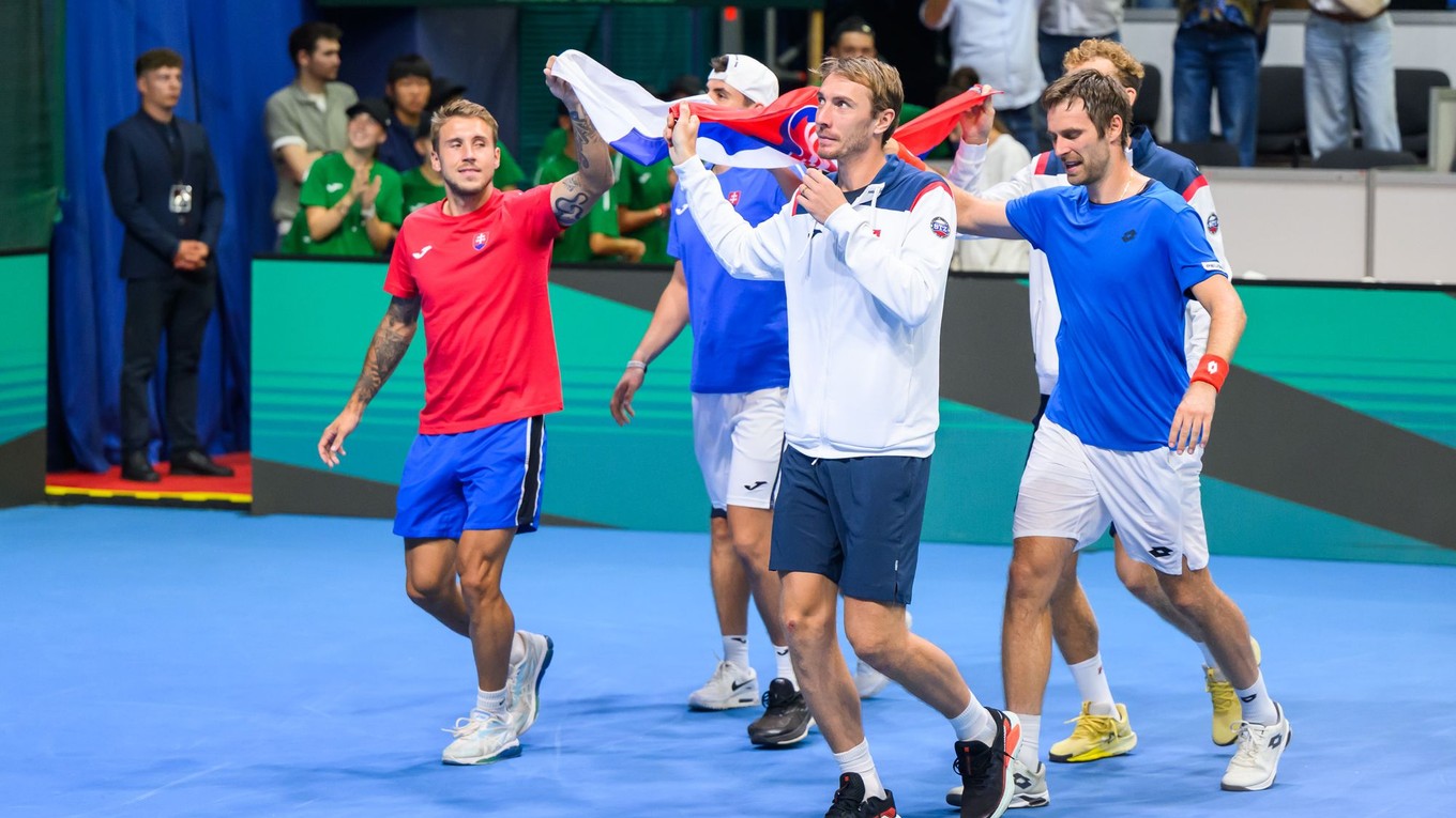 Slovenský daviscupový tím