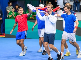 Slovenský daviscupový tím