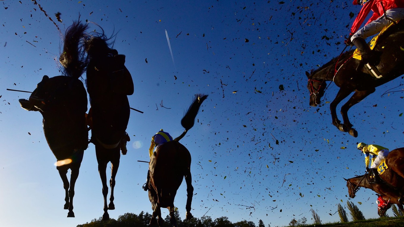 Veľká pardubická patrí k najťažším dostihom v Európe.