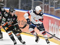 Fotka zo zápasu HC Slovan Bratislava - HC Košice.