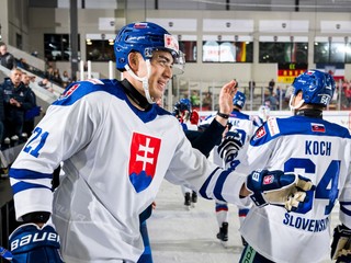 Slovenskí hokejisti.