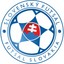 Slovenský pohár SF