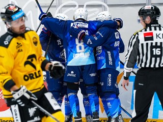 Momentka zo zápasu HC Kometa Brno - HC Verva Litvínov