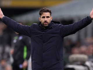 Cesc Fabregas