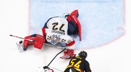 Sergej Bobrovsij inkasuje gól.