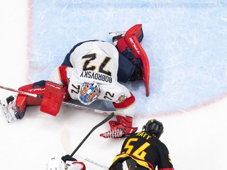 Sergej Bobrovsij inkasuje gól.