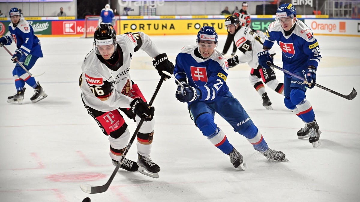 Sprava Roman Faith a Sebastián Čederle v stredajšom zápase Slovensko - Nemecko