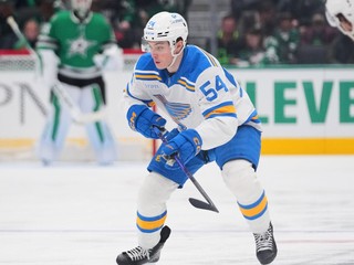  Dalibor Dvorský v zápase s Dallasom