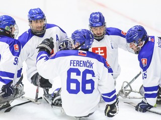 Slovenskí parahokejisti oslavujú gól