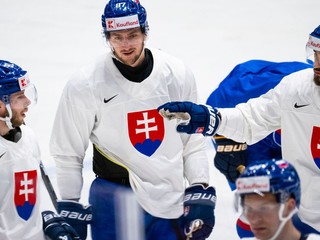 Na snímke slovenskí hokejoví reprezentanti zľava Matúš Sukeľ, Pavol Regenda, Róbert Lantoši a dolu Patrik Koch.