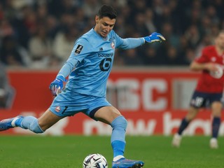  Brankár Berke Özer