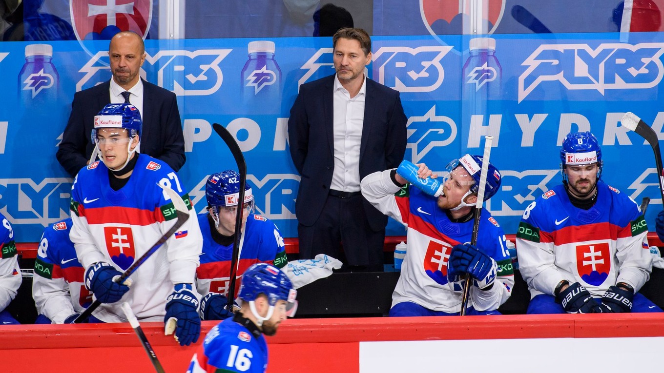 Slovenskí hokejisti.