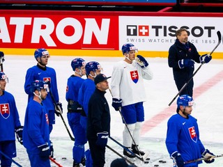 Hokejoví reprezentanti SR a vpravo hore tréner hokejovej reprezentácie SR Vladimír Országh.