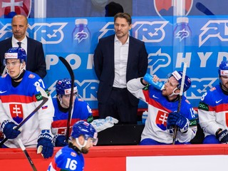 Slovenskí hokejisti.