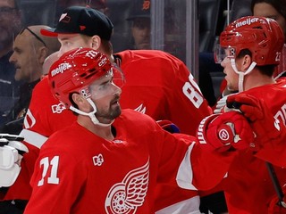 Dylan Larkin (71) oslavuje gól so spoluhráčmi Detroitu.