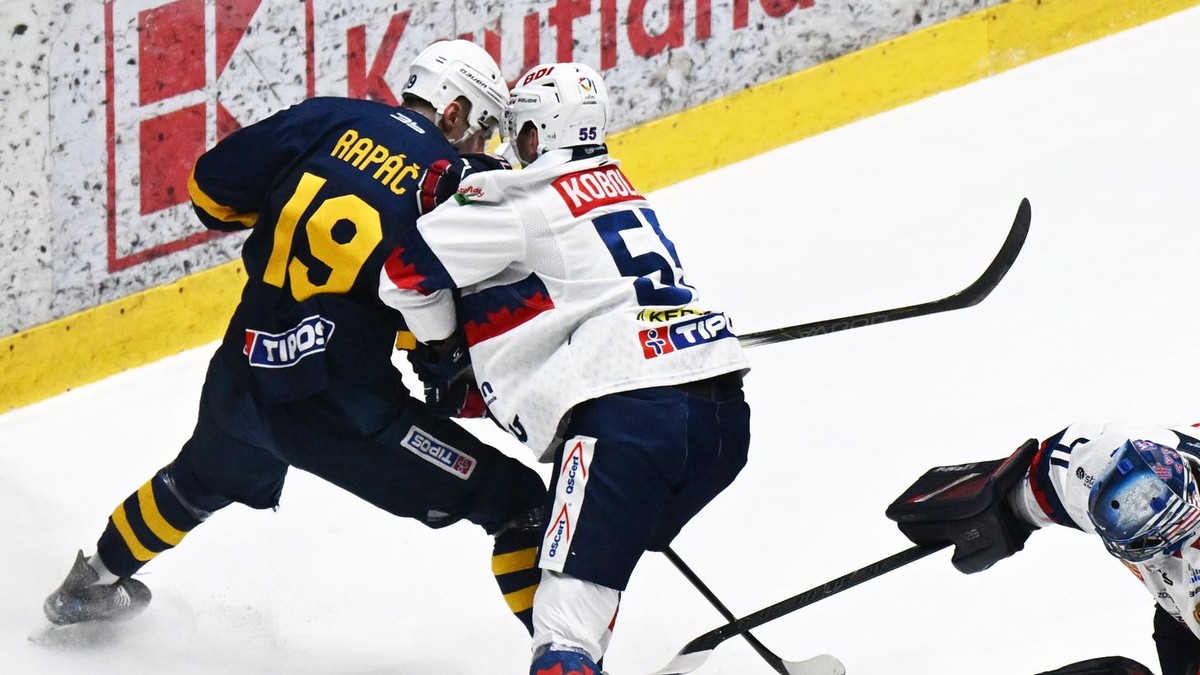 Zločin a trest v hokejovom play-off. Čo nevidia rozhodcovia, posudzuje senát