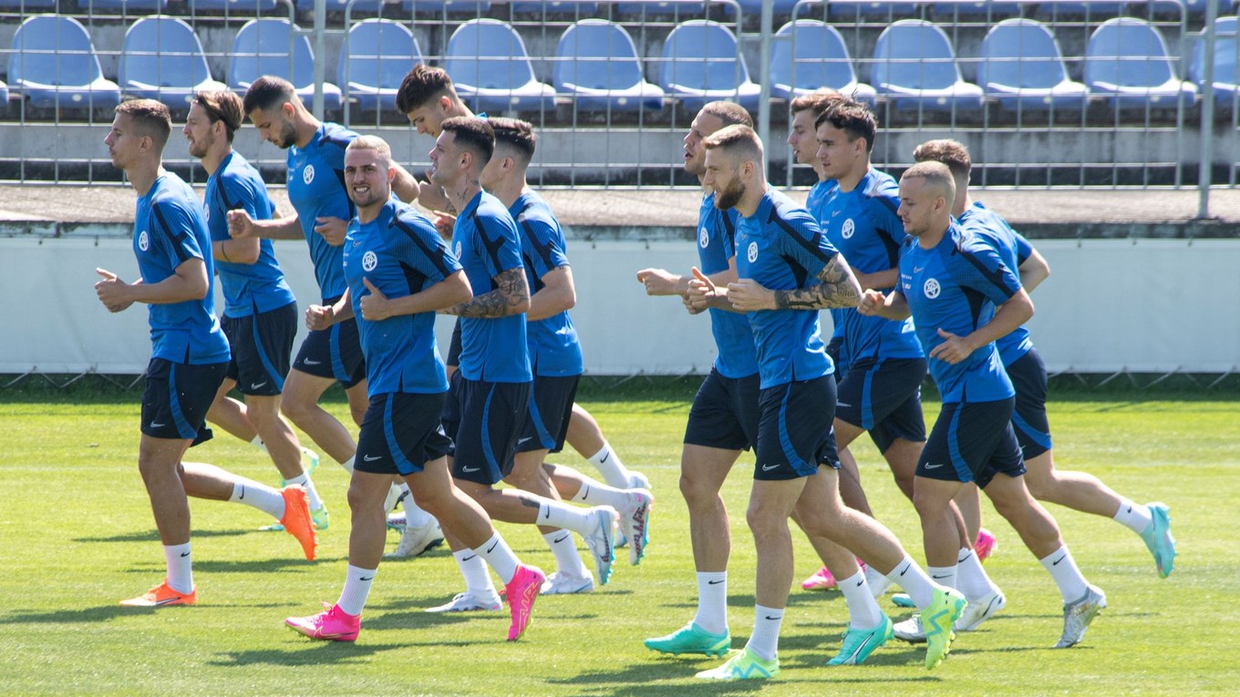 Slovenskí futbaloví reprezentanti.