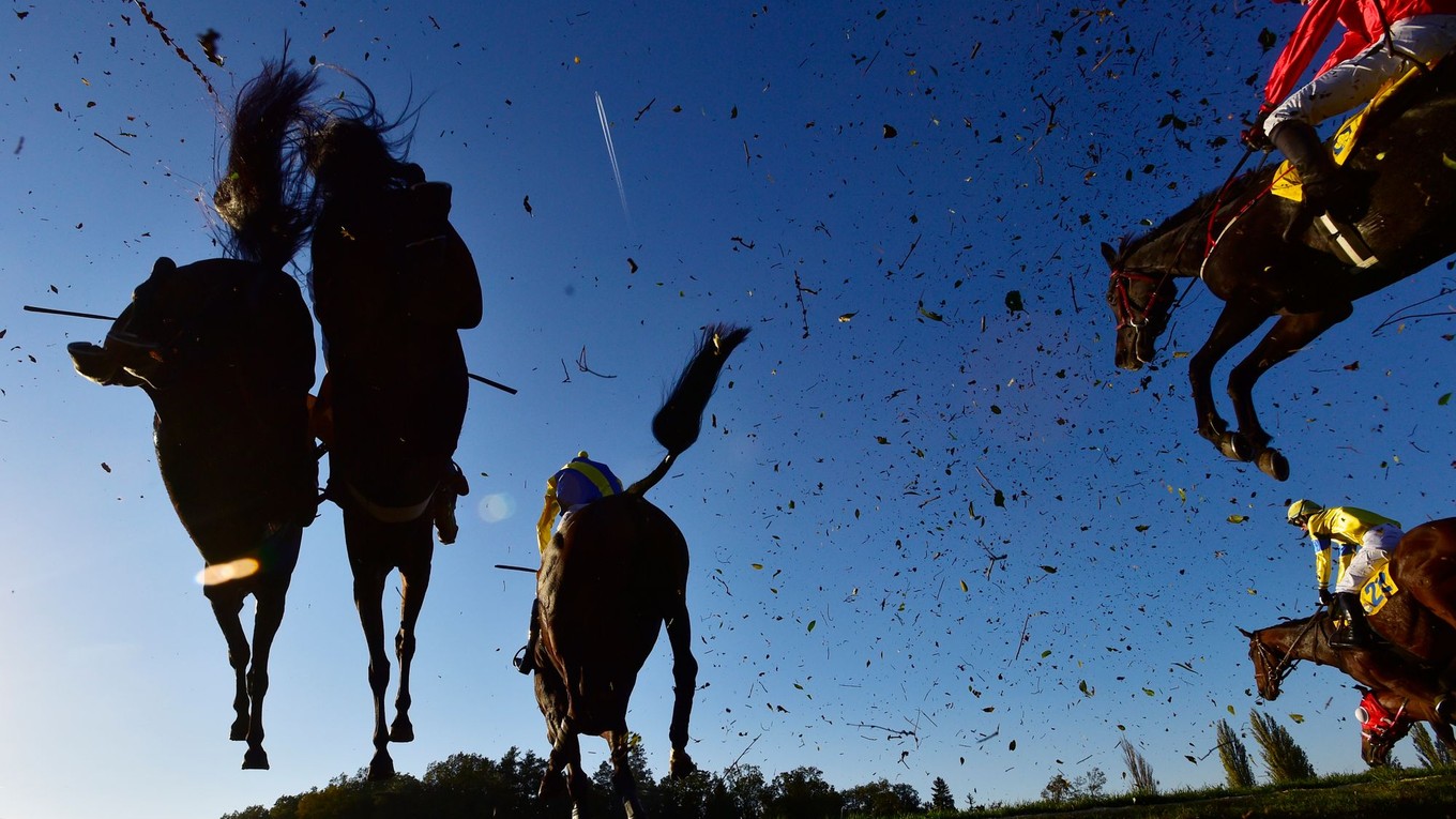 Veľká pardubická.