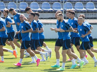 Slovenskí futbaloví reprezentanti.
