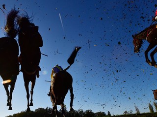 Veľká pardubická.