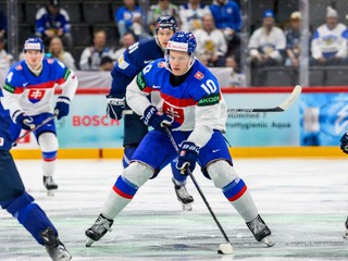 Adam Sýkora v zápase s Fínskom.