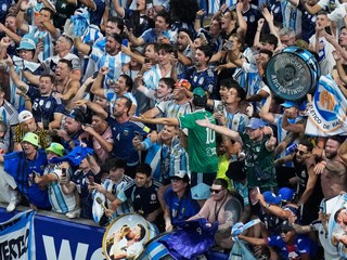 Fanusikovia Argentíny.