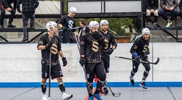 Hokejbalisti Skalice.