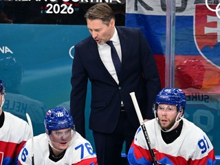 Slovenská lavička v semifinálovom zápase Slovensko - USA. 