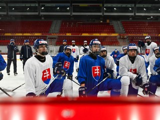 Hokejisti slovenskej hokejovej reprezentácie SR 18.