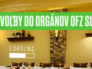 Výsledky volebnej konferencie OFZ SL