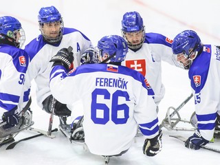 Slovenskí parahokejisti