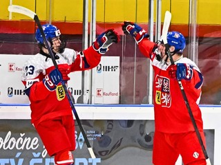 Českí hokejisti sa tešia z gólu.