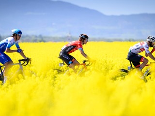 Momentka z Tour de France.