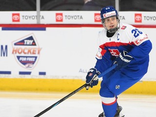 Luka Radivojevič