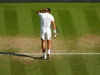 Carlos Alcaraz.