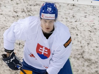 Michal Ivan počas tréningu slovenskej hokejovej reprezentácie.