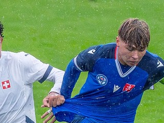 Momentka zo zápasu Slovensko - Švajčiarsko.