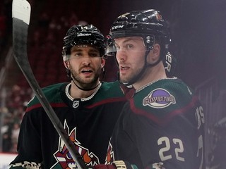 Arizona Coyotes.