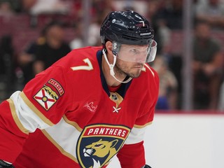 Obranca Dmitrij Kulikov v drese Floridy Panthers.