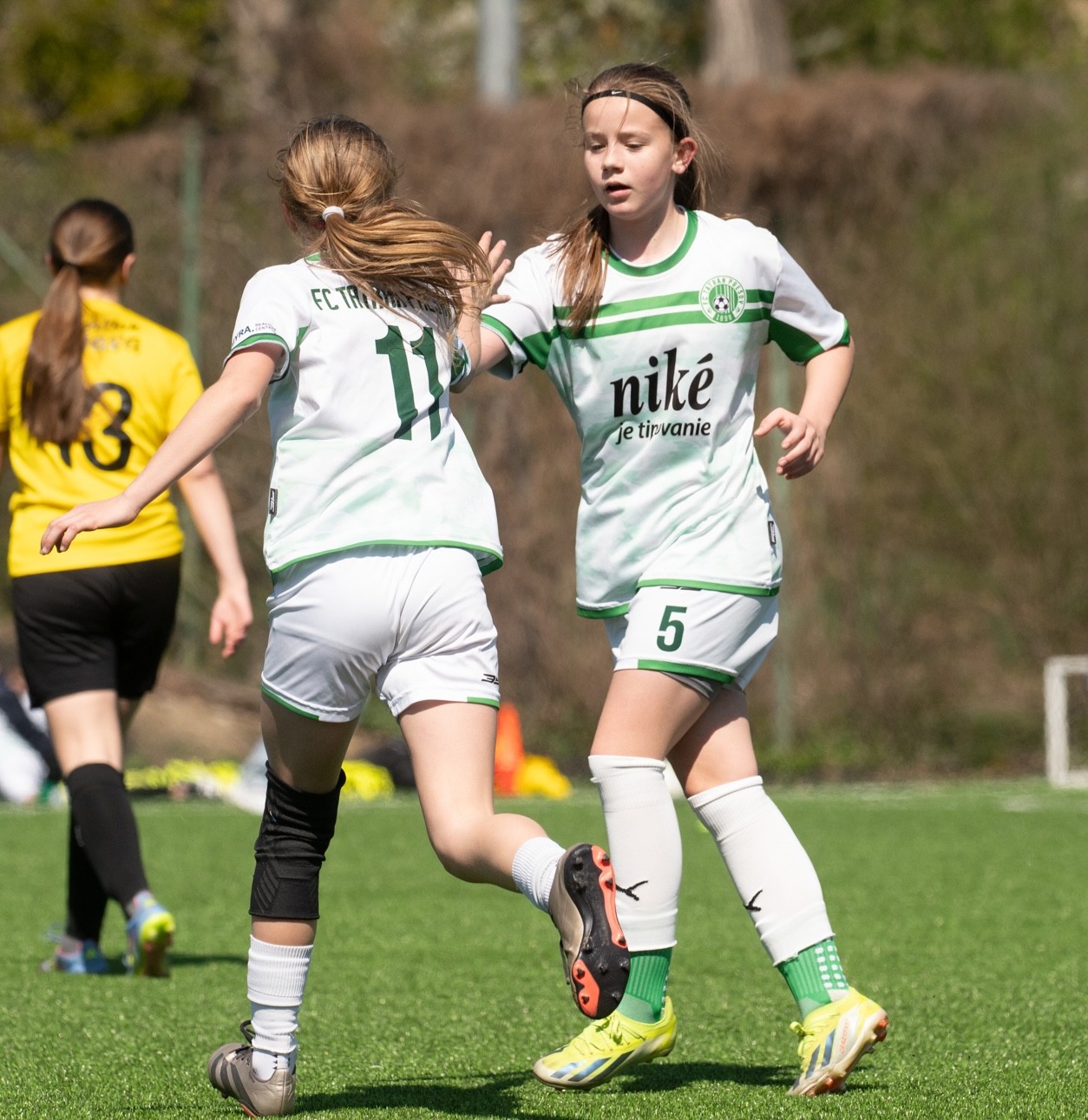 Festival futbalu Prešov 2026 1.jpg