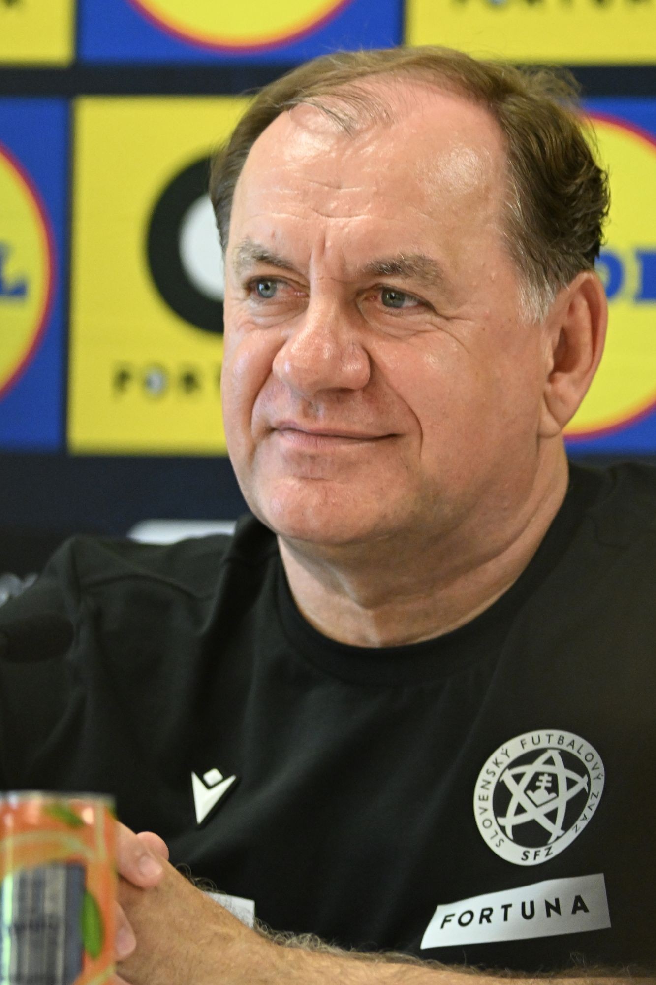 SR Futbal reprezentácia príprava zraz Weiss TK TTX.jpg