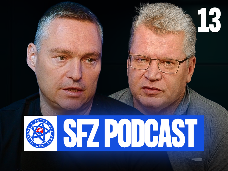 sfz podcast thumbnail 13 4ku3.png