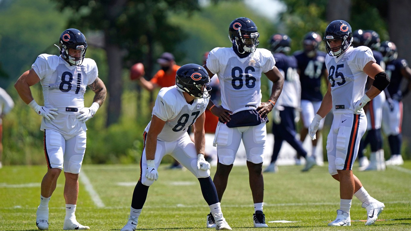 Hráči Chicago Bears z NFL.