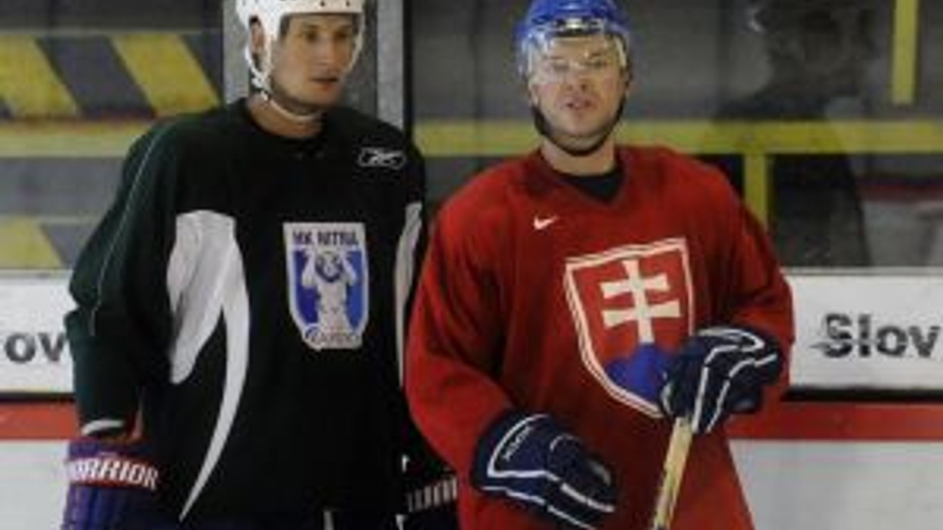 Na snímke slovenskí hokejoví reprezentantí vľavo Branislav Mezei a vpravo Jozef Stümpel počas letnej prípravy. Obaja patria medzi tých hokejistov, ktorých zlákala Kontinentálna liga. Budú pôsobiť v Kazachstane v tíme Barys Astana.