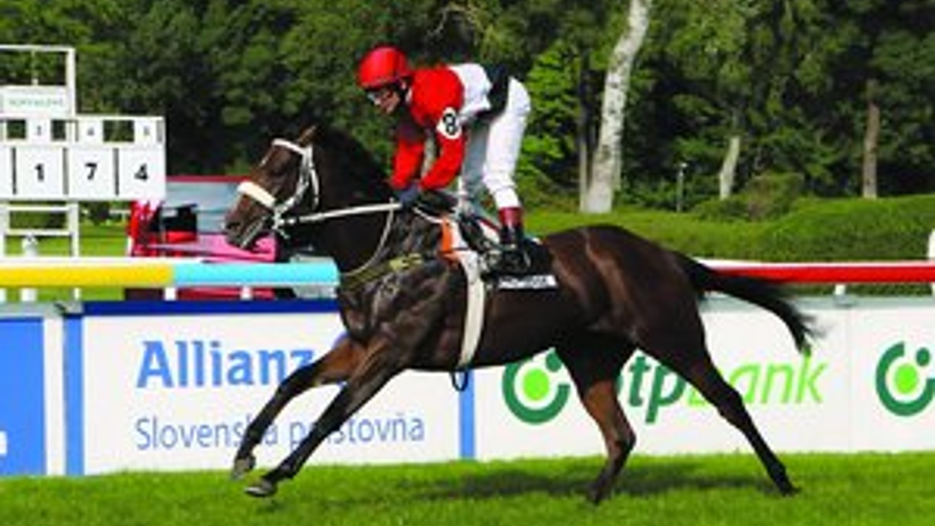 Overdose v cieli Ceny Ministerstva pôdohospodárstva SR v bratislavskom Starom háji.