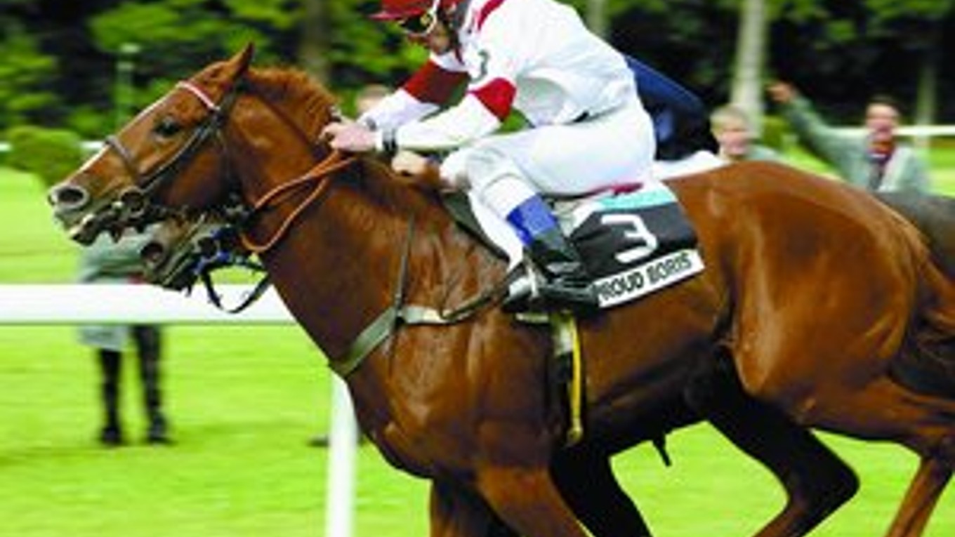 Hlavný favorit slovenských turfmanov v nedeľňajšom derby: Proud Boris s džokejom Rastislav Juráčkom.