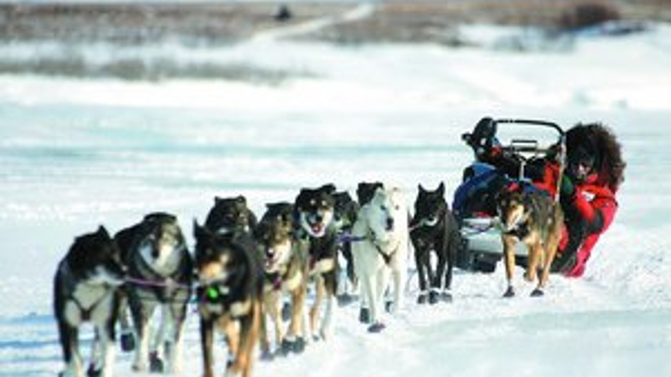 Lance Mackey s psím záprahom na trati vedúcej aljašskou divočinou. Na spodnej fotografii je so svojimi psami v cieli.