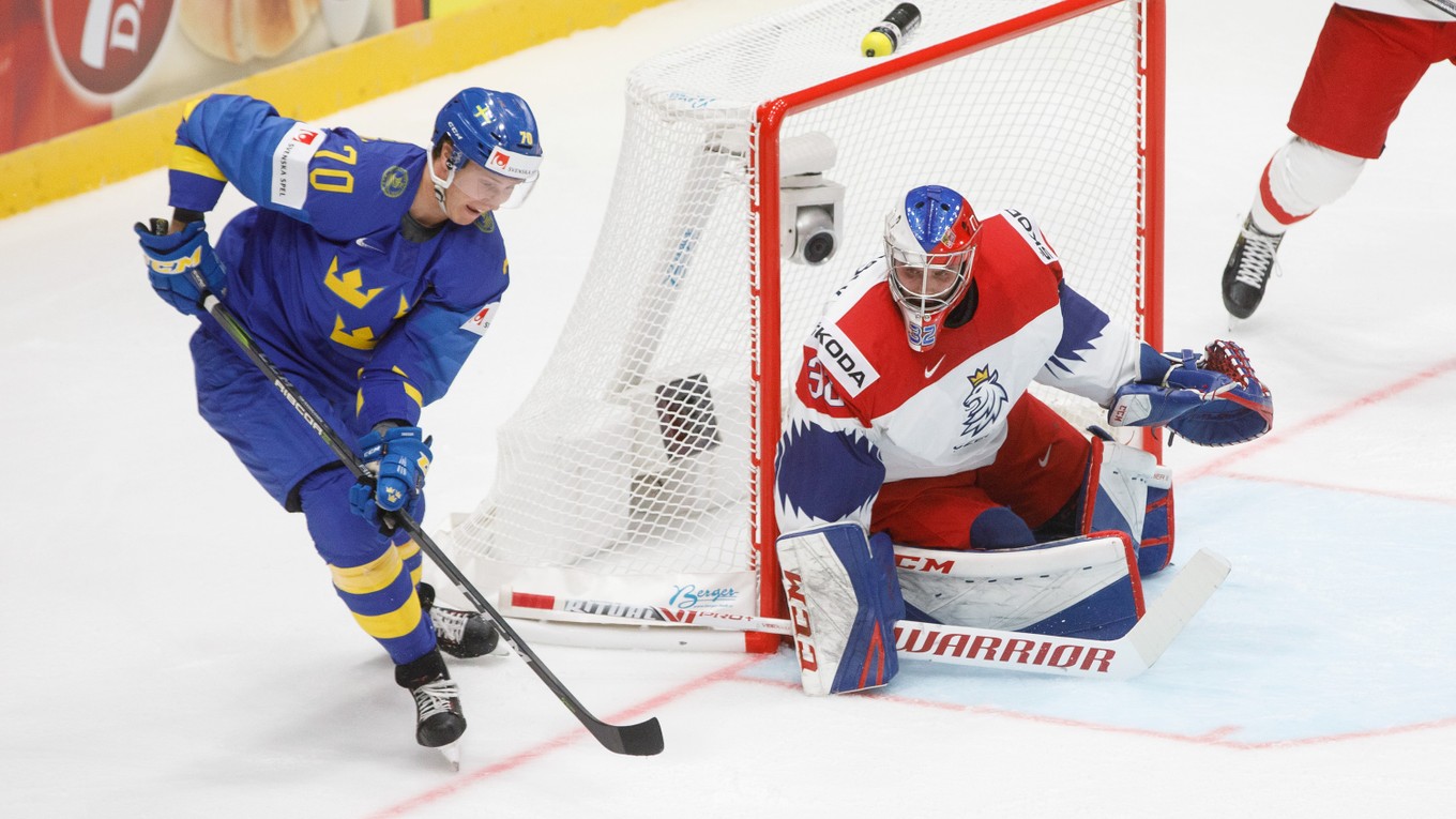 Patrik Bartošák v zápase Česko - Švédsko na MS v hokeji 2019.
