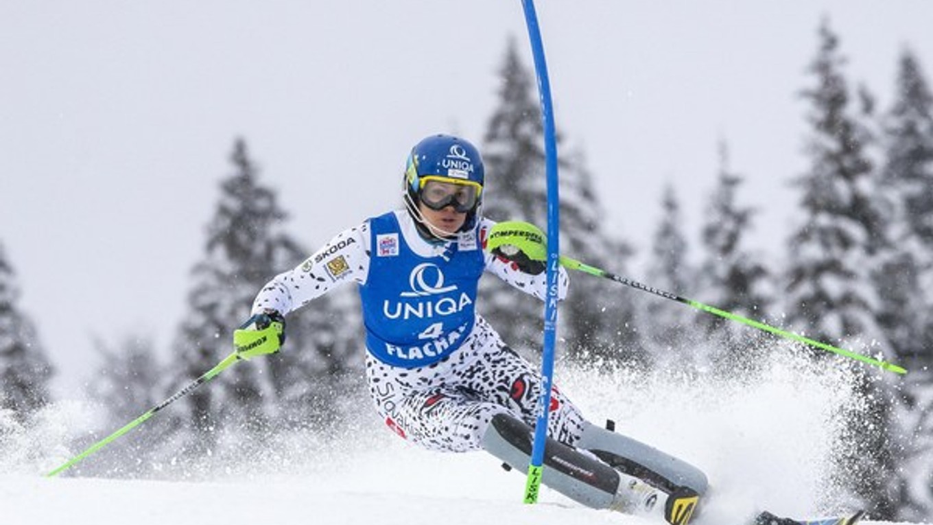 Naše lyžiarky prežívajú úspešnú sezónu a po každom slalome sa záujem o vstupenky zvyšuje, tvrdí predseda organizačného výboru. Veronika Velez-Zuzulová (na snímke) vyhrala posledné dva slalomy Svetového pohára.