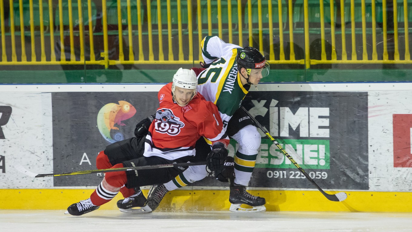 Zahradník kraľuje produktivite Žiliny. (Ilustračné foto) 